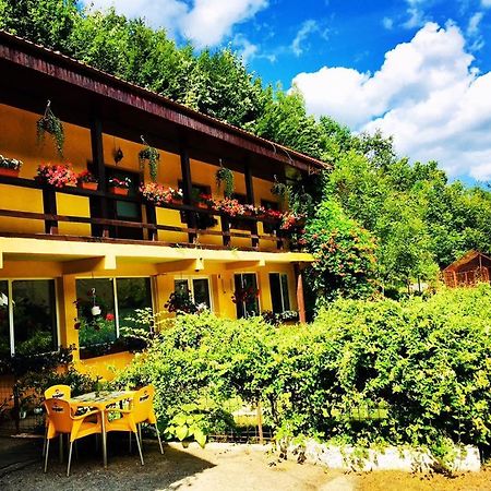 레시차 House In The Woods B&B 외부 사진