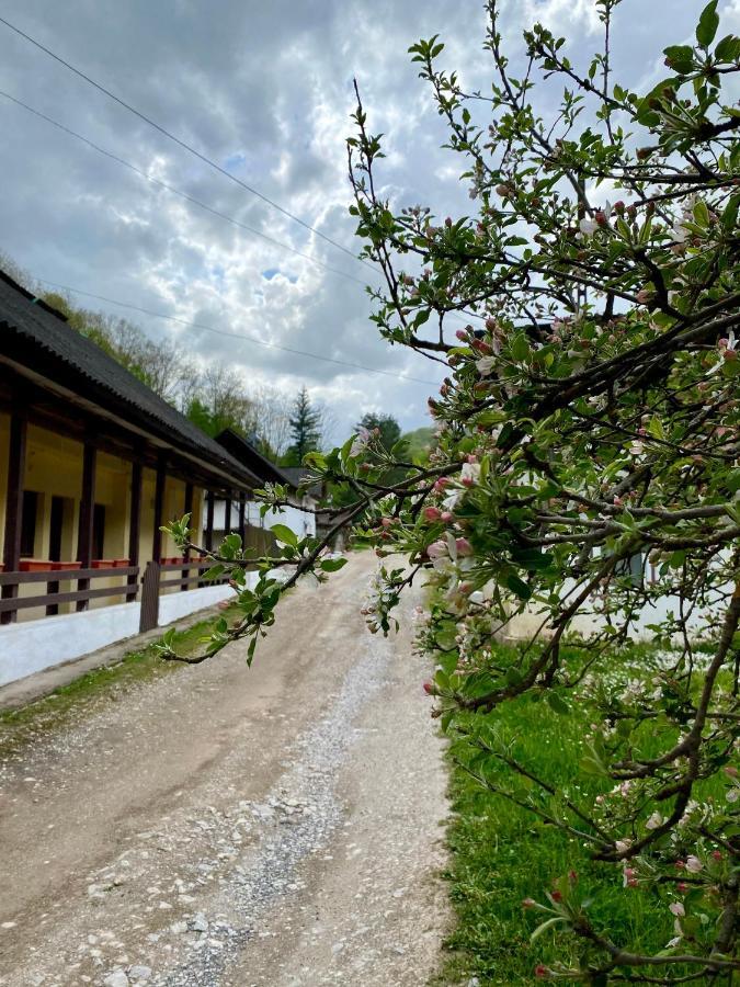 레시차 House In The Woods B&B 외부 사진