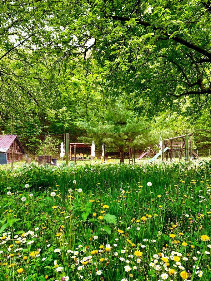레시차 House In The Woods B&B 외부 사진