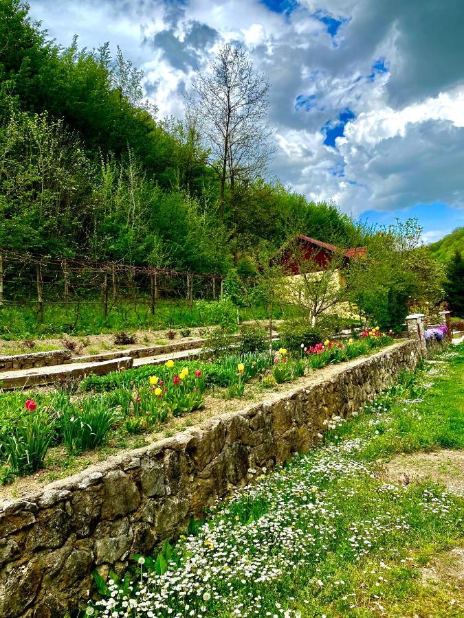 레시차 House In The Woods B&B 외부 사진