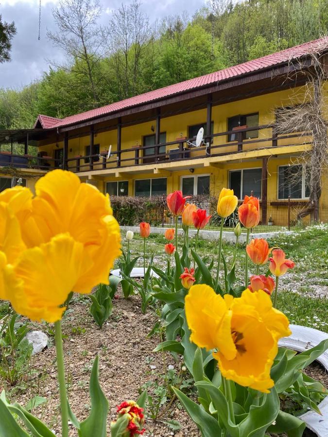 레시차 House In The Woods B&B 외부 사진