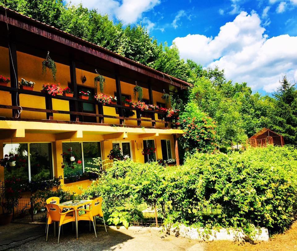 레시차 House In The Woods B&B 외부 사진