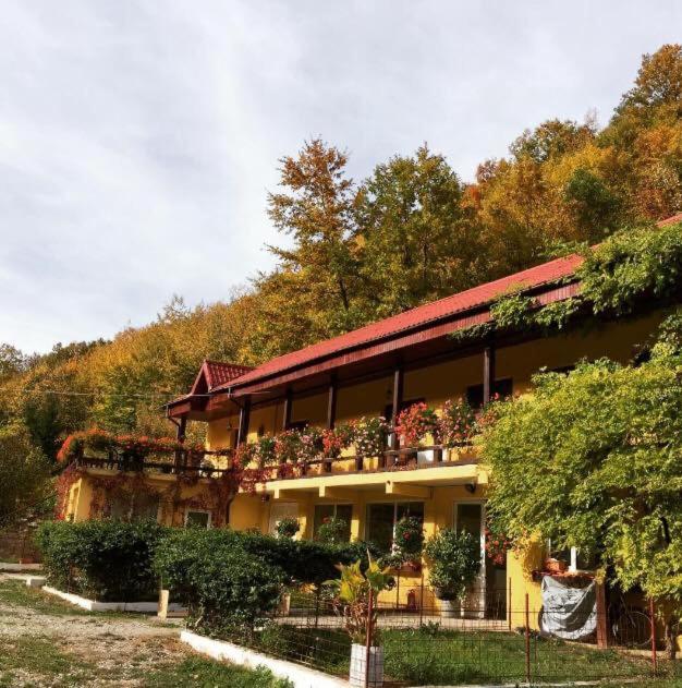 레시차 House In The Woods B&B 외부 사진