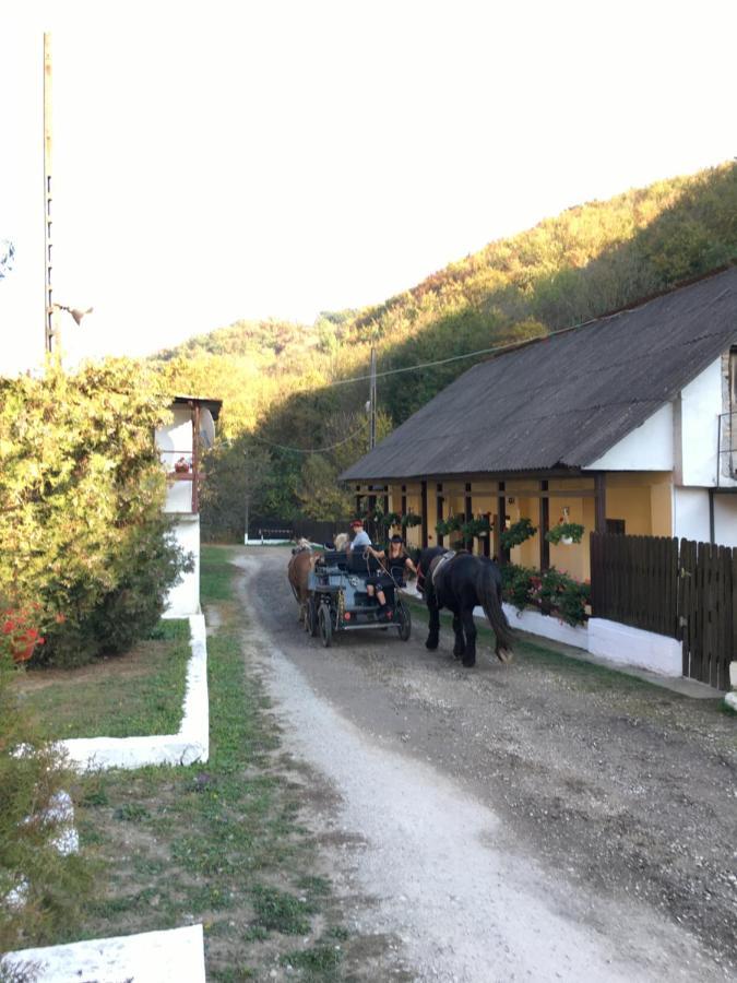 레시차 House In The Woods B&B 외부 사진