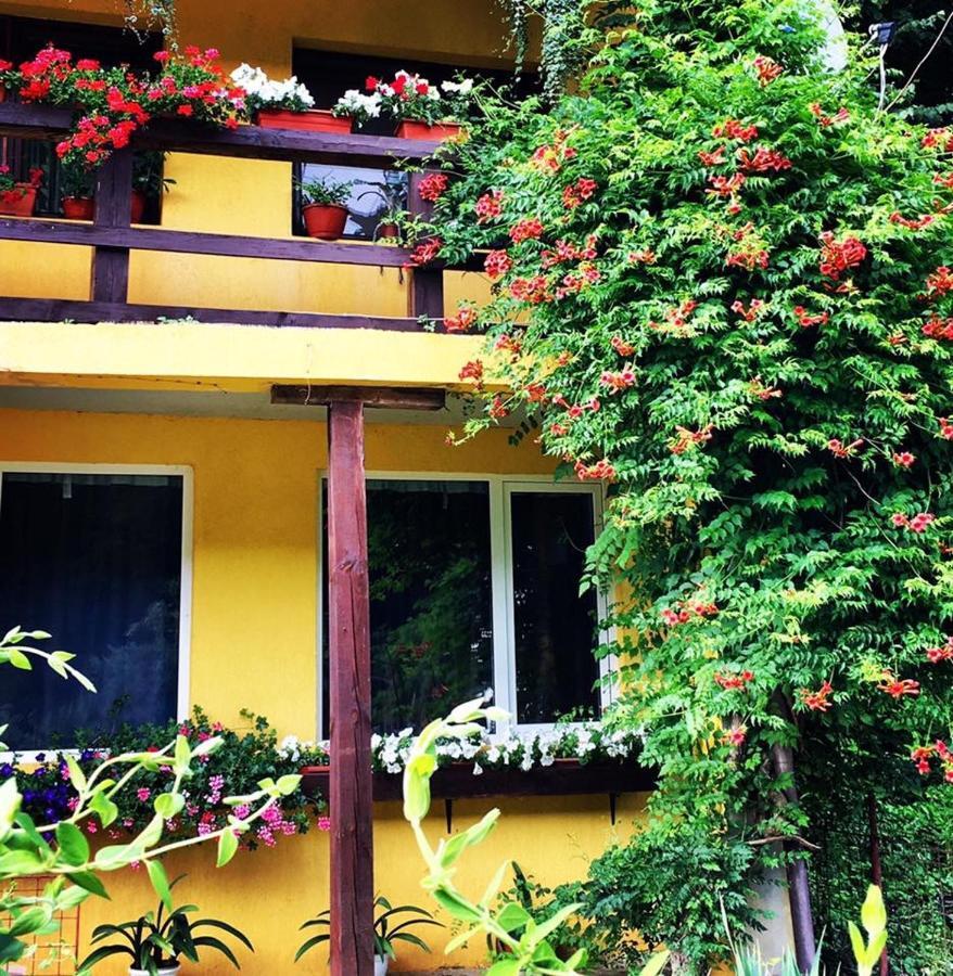레시차 House In The Woods B&B 외부 사진