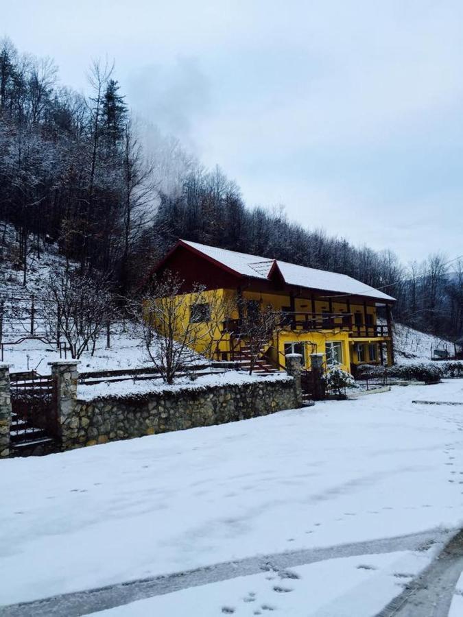 레시차 House In The Woods B&B 외부 사진