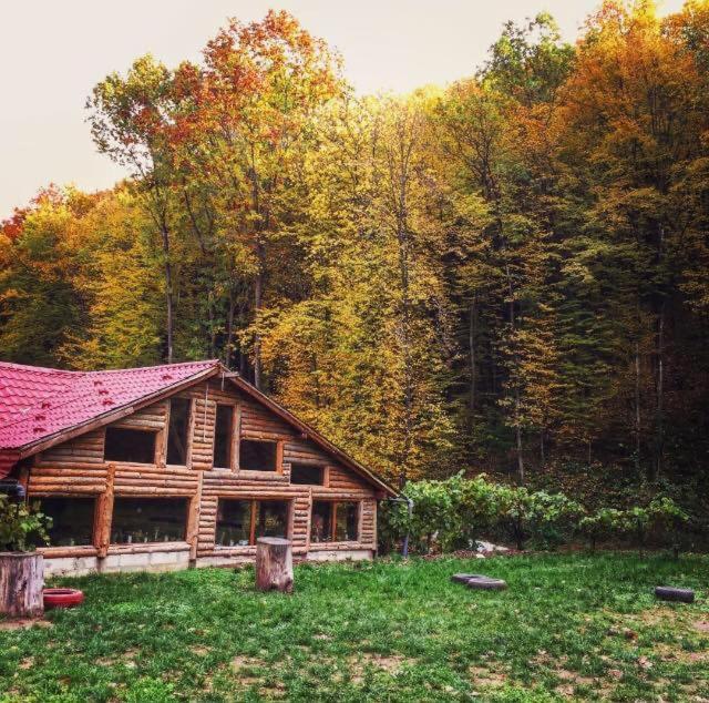 레시차 House In The Woods B&B 외부 사진