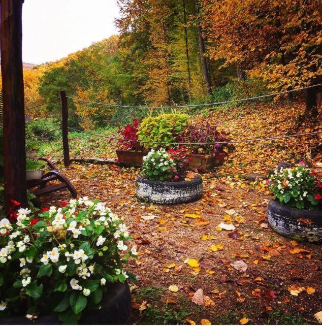 레시차 House In The Woods B&B 외부 사진