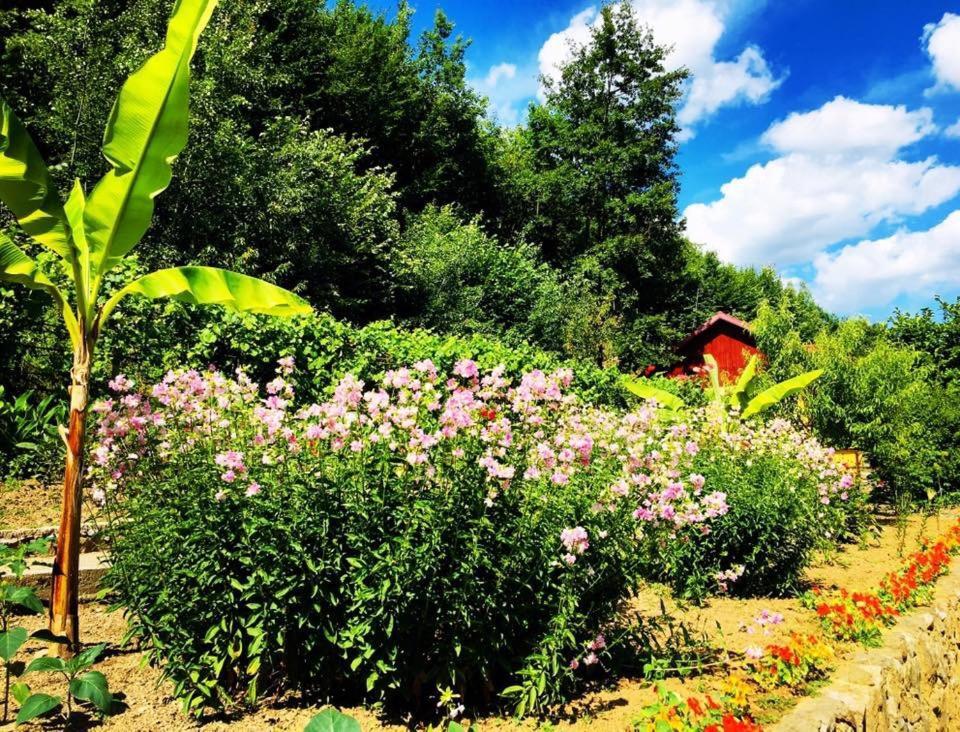 레시차 House In The Woods B&B 외부 사진