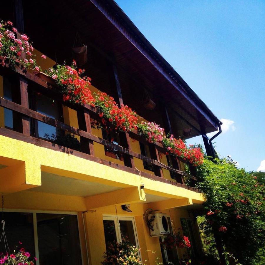 레시차 House In The Woods B&B 외부 사진