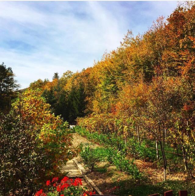 레시차 House In The Woods B&B 외부 사진