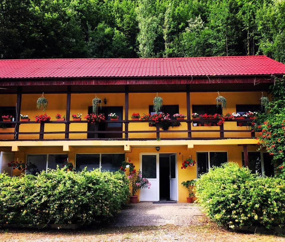 레시차 House In The Woods B&B 외부 사진